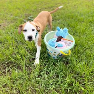 Meet your Posher, Victoria